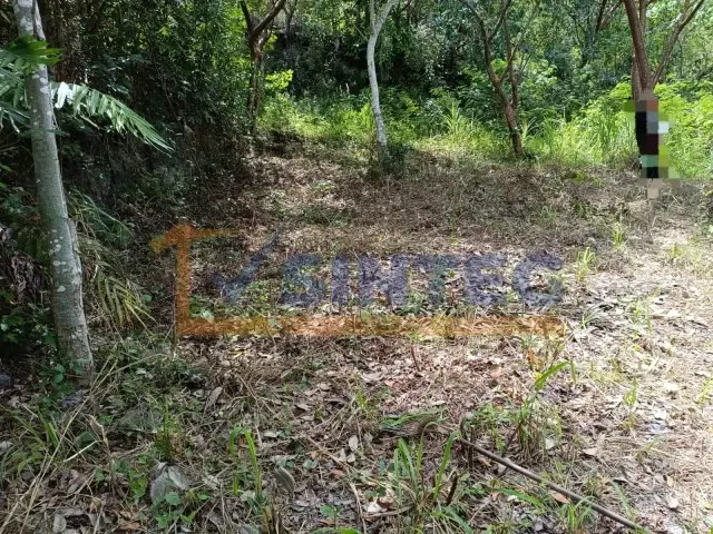 Terreno en venta en Unidad Deportiva, Papantla — foto 1 de 6