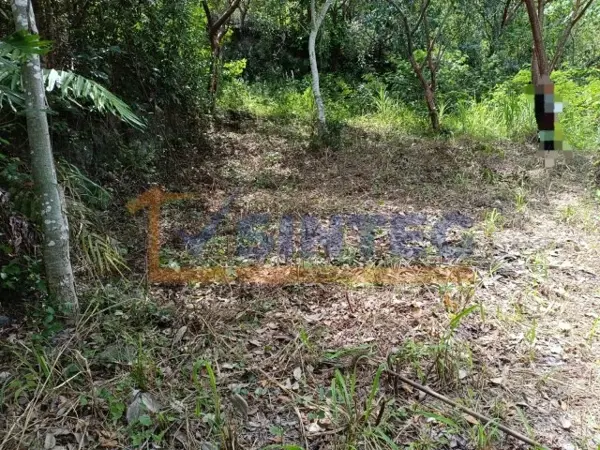 VENTA DE TERRENO RÚSTICO SUPERFICIE 400 M2, COL LAS HUASTECAS, PAPANTLA, VERACRUZ