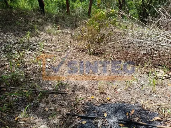 Terreno en venta en Unidad Deportiva, Papantla — foto 3 de 6