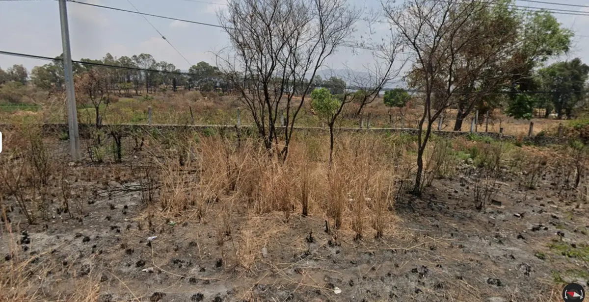 Terreno en venta en La Finca, Villa Guerrero — foto 1 de 2