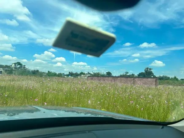 Terreno en venta en San Bernardino Tlaxcalancingo, San Andrés Cholula — foto 3 de 3