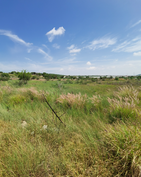 Terreno Comercial en Venta Cd Maderas el Marques — foto 1 de 10