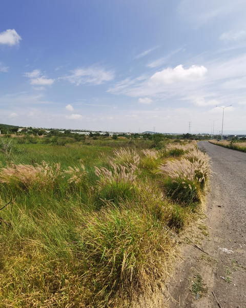 Terreno en venta en Ciudad Maderas Residencial Querétaro, El Marqués — foto 2 de 9