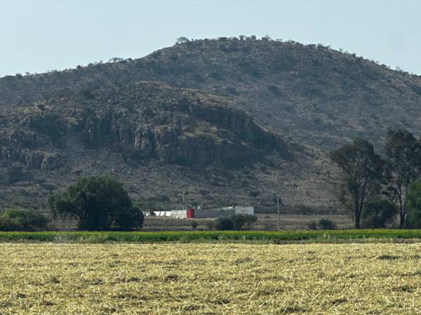 Terreno en renta en San Clemente, Pedro Escobedo — foto 3 de 15