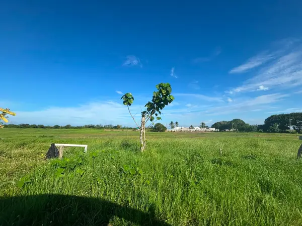 Terreno en venta en Anton Lizardo, Alvarado — foto 3 de 8