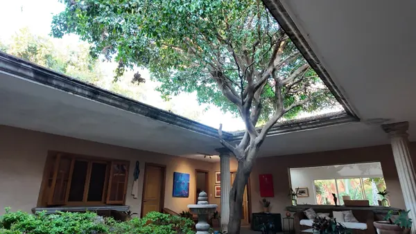 CASA ARTE | ACAPATZINGO, CUERNAVACA