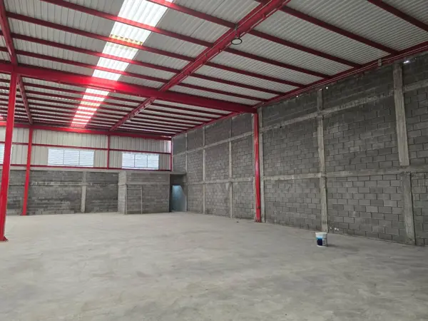 Bodega en renta en Los Encinos, Allende — foto 3 de 12