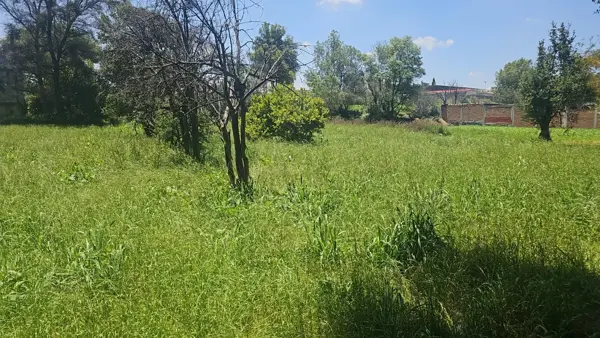 TERRENO EN VENTA SANTA BARBARA ALMOYA