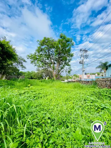 Terreno en venta en Tres de Mayo, Emiliano Zapata — foto 3 de 13