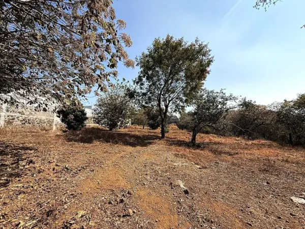 Terreno en venta en Ahuatepec, Cuernavaca — foto 2 de 5