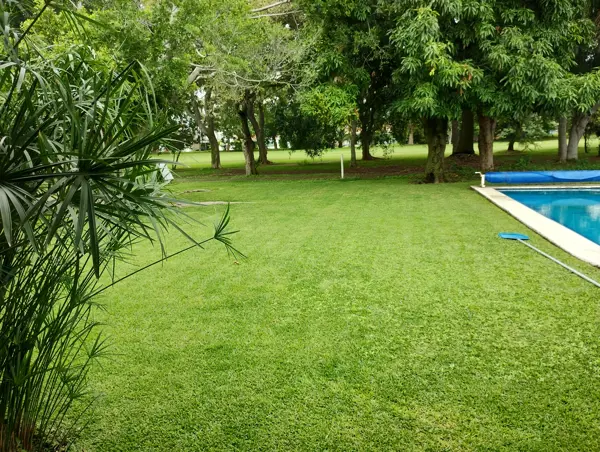 Casa en renta en Lomas de Cocoyoc, Atlatlahucan — foto 2 de 27