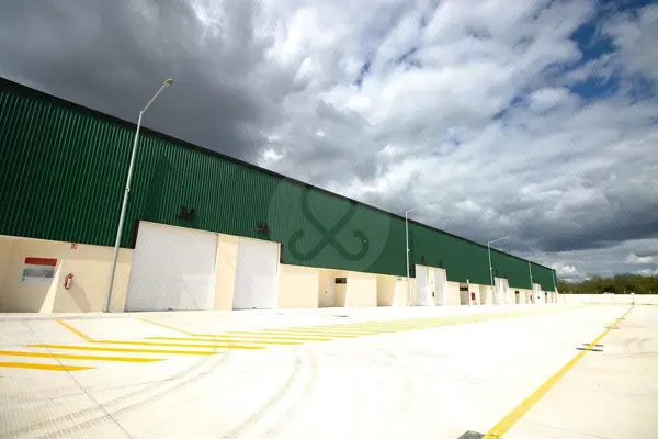 Bodega en venta en Teya, Teya — foto 2 de 18