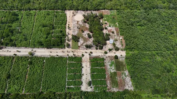 Terreno en venta en Sin colonia, Motul — foto 2 de 22