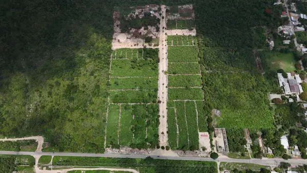 Terreno en venta en Sin colonia, Motul — foto 3 de 22