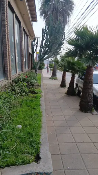 Local en renta en Constitución, Playas de Rosarito — foto 2 de 17