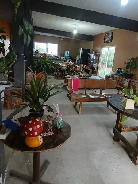 Local en venta en Alto, Huimilpan — foto 3 de 15