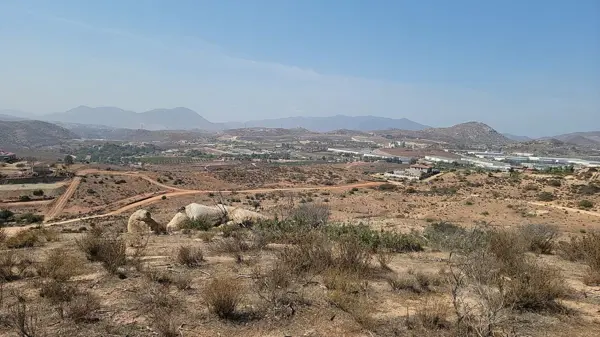 En venta, terreno cerca de El Paraíso — foto 1 de 3