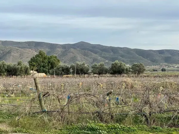 Terreno en venta en Valle de Guadalupe, Ensenada — foto 2 de 4