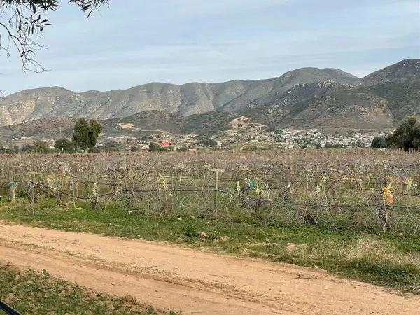 Terreno en venta en Valle de Guadalupe, Ensenada — foto 3 de 4
