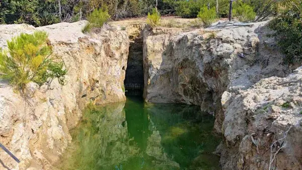 Terreno en venta en Ojos Negros, Ensenada — foto 3 de 12