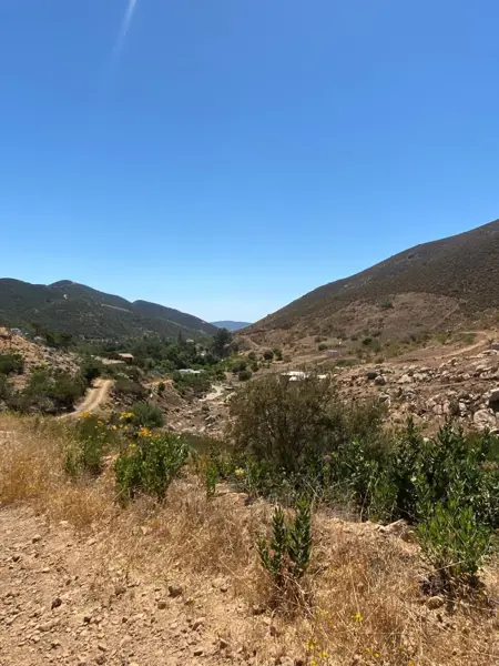 HECTÁREAS EN VENTA EN TERRENO RUSTICO EN VALLE DE GUADALUPE