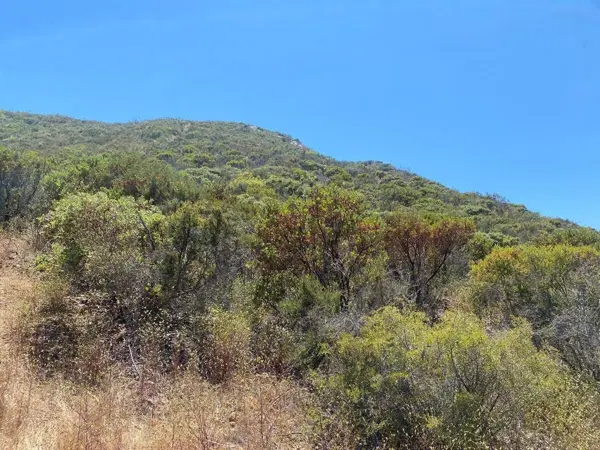 Terreno en venta en Valle de Guadalupe, Ensenada — foto 3 de 7