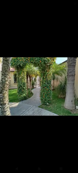 Casa en venta en San Antonio, Chiautla — foto 3 de 27