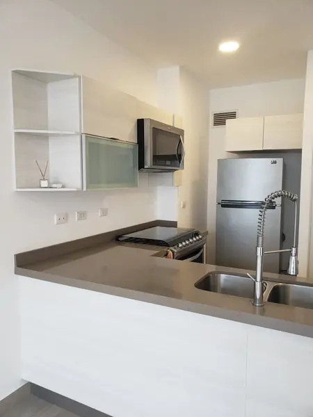 Departamento en renta en Zona Valle Poniente, San Pedro Garza García — foto 3 de 21