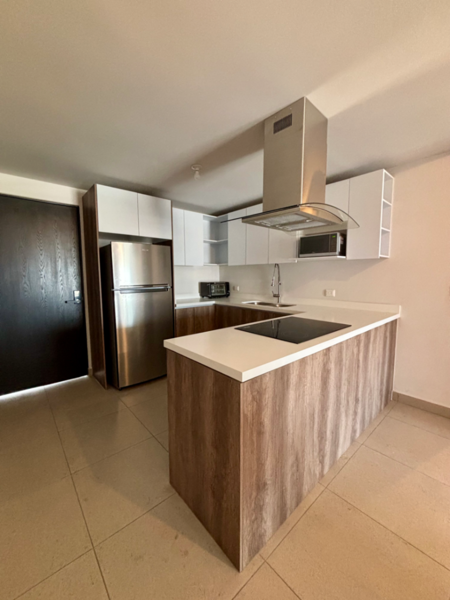 Departamento en renta en Monterrey Centro, Monterrey — foto 2 de 16