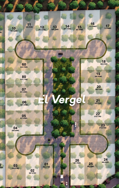 Terreno en venta en La Barranca, Torreón — foto 3 de 3