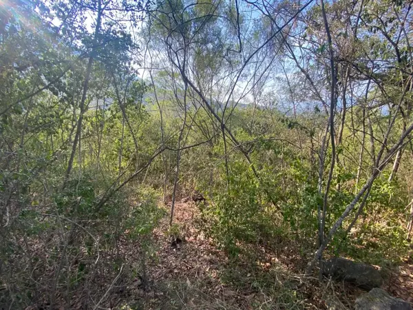 Terreno en Venta en San Francisco, Santiago, Nuevo León 5