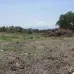 Terreno en venta en Atlacholoaya, Xochitepec — foto 2 de 2