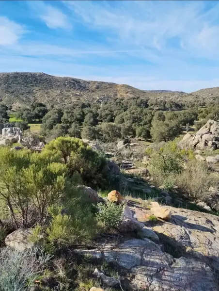 Lotes campestres en venta en Rancho Miranda, Rancho Las Juntas Tecate — foto 1 de 16