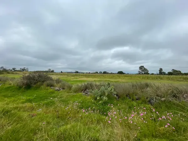 Terreno en venta en Ruano, Polotitlán — foto 3 de 31