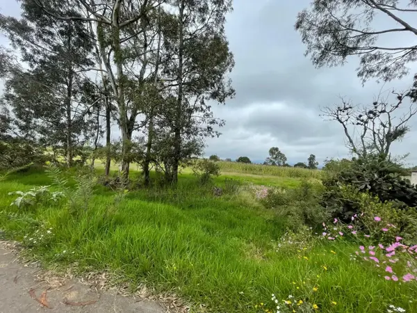 Terreno en venta en Ruano, Polotitlán — foto 2 de 31