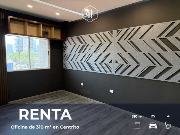 RENTA | Oficina de 310 m² en Plaza Alejandría, Piso 2 - Del Valle, San Pedro Garza García — foto 1 de 21