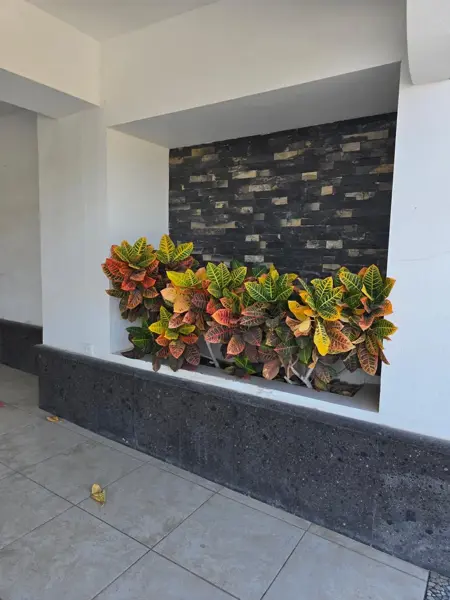 Casa en renta en Los Almendros, Torreón — foto 2 de 10