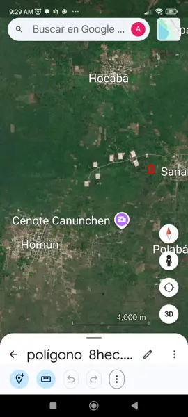 Venta terreno de 8 ha ideal para Cabañas en plena zona de Anillo de Cenotes Homun- Sanahcat — foto 1 de 7