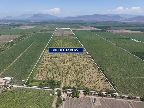 Rancho Tecoman — foto 1 de 8