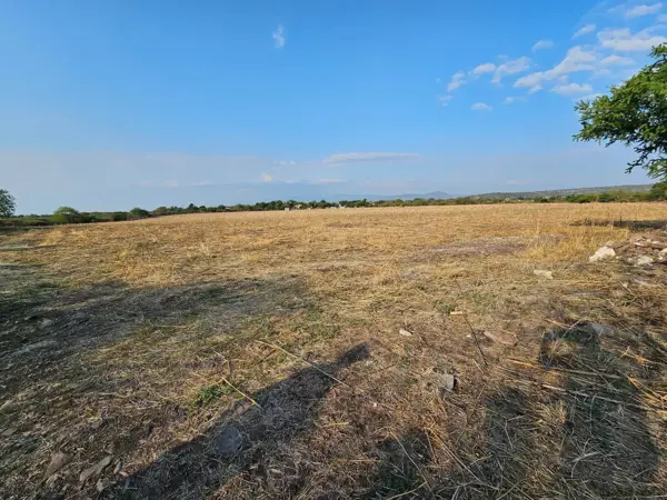 Oportunidad para Desarrolladores E Inversionistas | Reserva Territorial — foto 1 de 12