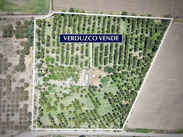 Terreno en venta en Camichines, Coquimatlán — foto 2 de 6