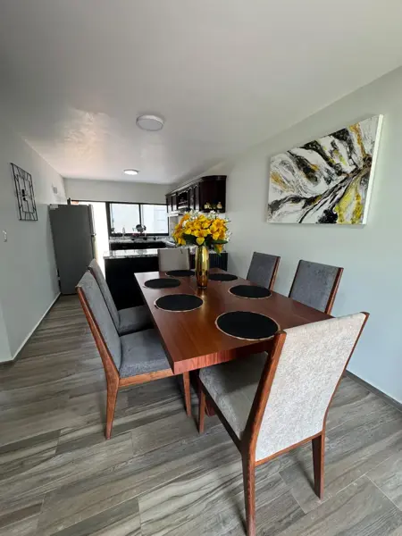 Casa en renta en San Antonio de Ayala, Irapuato — foto 3 de 25