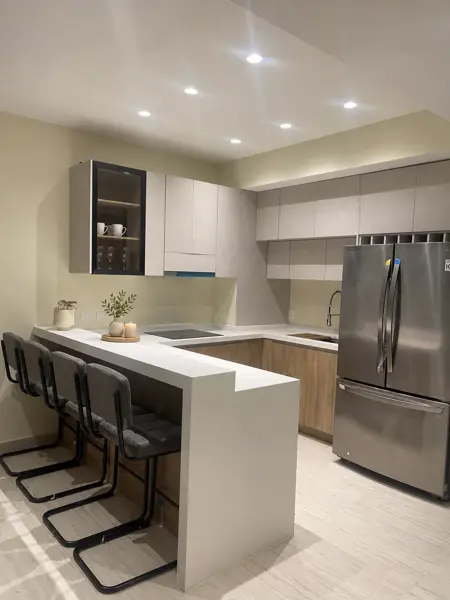 Departamento en renta en Colinas de San Jerónimo, Monterrey — foto 2 de 39