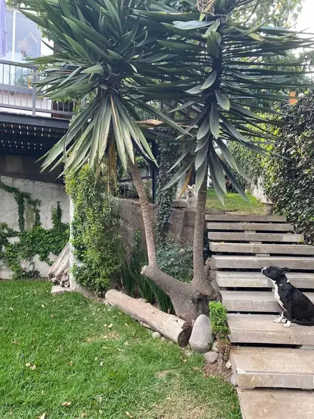 Casa en venta en Mayorazgos del Bosque, Atizapán de Zaragoza — foto 2 de 34