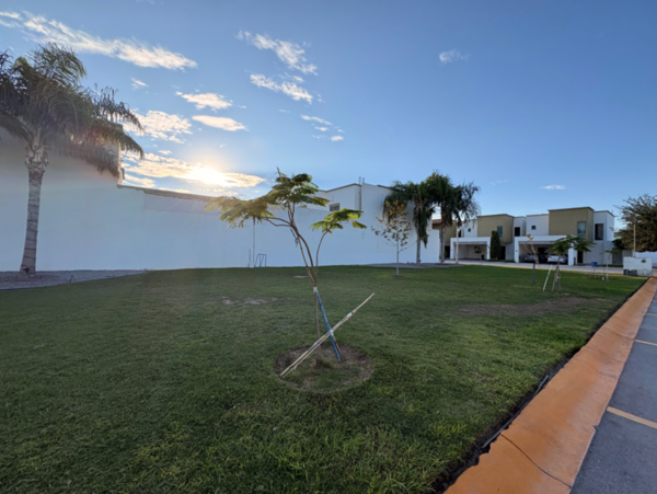 Casa en renta en Villa de las Palmas, Torreón — foto 2 de 30