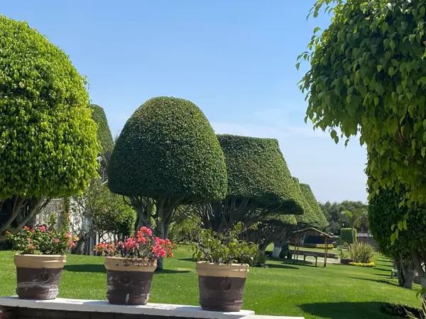Casa en venta en Lomas de Tzompantle, Cuernavaca — foto 2 de 37