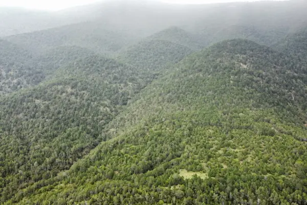 Terreno de 64.67 hectáreas a 25 minutos de San Antonio de las Alazanas — foto 1 de 23