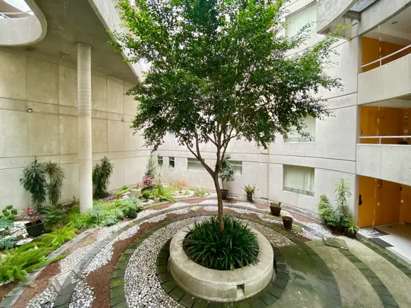 Departamento en venta en El Cuernito, Álvaro Obregón — foto 3 de 36