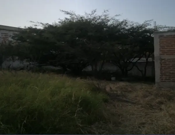 Terreno en venta en Belisario Domínguez, Comitán de Domínguez — foto 2 de 2