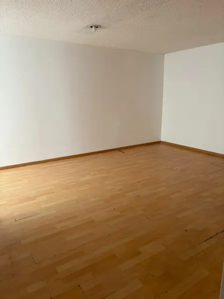 Casa en renta en Nueva Chapultepec, Morelia — foto 2 de 15